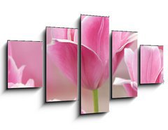 Obraz ptidln 5D - 125 x 70 cm F_GS32429318 - Pink tulips close up