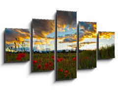 Obraz   Poppy Field, 125 x 70 cm