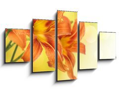 Obraz 5D ptidln - 125 x 70 cm F_GS33384107 - Yellow Lily Flower border design - lut kvtu Lily Flower design