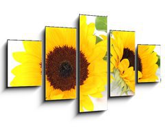 Obraz 5D ptidln - 125 x 70 cm F_GS33524592 - Sonnenblumen