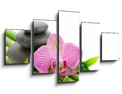 Obraz 5D ptidln - 125 x 70 cm F_GS34345756 - Spa - Lzn