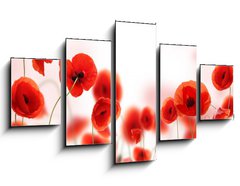 Obraz 5D ptidln - 125 x 70 cm F_GS34583820 - Poppy field - Poppy pole