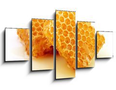 Obraz 5D ptidln - 125 x 70 cm F_GS35109581 - Honeycomb