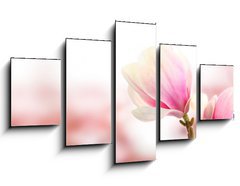 Obraz 5D ptidln - 125 x 70 cm F_GS35301242 - pink flower - rov kvt