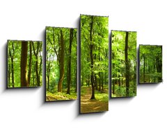 Obraz 5D ptidln - 125 x 70 cm F_GS35316050 - Waldweg im Sommer