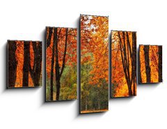 Obraz ptidln 5D - 125 x 70 cm F_GS35345488 - Autumn park in oil painting style