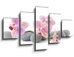 Obraz   Still life with pink orchid with gray stones, 125 x 70 cm