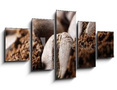 Obraz 5D ptidln - 125 x 70 cm F_GS35910568 - kawa