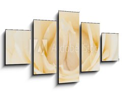 Obraz ptidln 5D - 125 x 70 cm F_GS36659824 - Rosenbl te