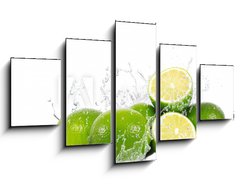 Obraz 5D ptidln - 125 x 70 cm F_GS37016449 - lime splash