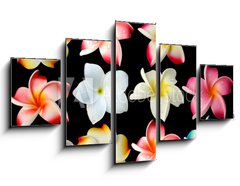 Obraz   fleurs frangipanier fond noir, 125 x 70 cm