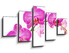 Obraz 5D ptidln - 125 x 70 cm F_GS37898338 - Tralcio di orchidea