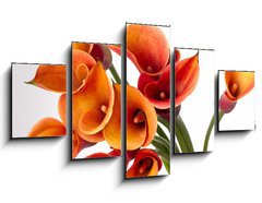 Obraz   Orange Calla lilies(Zantedeschia) over white, 125 x 70 cm