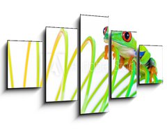 Obraz 5D ptidln - 125 x 70 cm F_GS38488901 - Colorful Frog on a spring, coil toy - Barevn ba na jae, cvka hraku