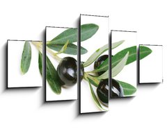 Obraz 5D ptidln - 125 x 70 cm F_GS38821931 - Olives over white