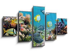 Obraz 5D ptidln - 125 x 70 cm F_GS39646629 - Underwater panorama in a coral reef with colorful tropical fish and marine life - Podvodn panorama v korlovm tesu s barevnmi tropickmi rybami a moskm ivotem