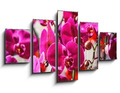 Obraz 5D ptidln - 125 x 70 cm F_GS404163795 - Close