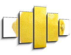 Obraz 5D ptidln - 125 x 70 cm F_GS40434929 - lemon