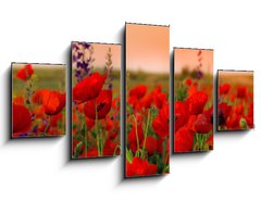 Obraz 5D ptidln - 125 x 70 cm F_GS40720767 - Field of poppies on a sunset