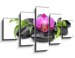 Obraz 5D ptidln - 125 x 70 cm F_GS40752784 - orchid