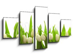 Obraz 5D ptidln - 125 x 70 cm F_GS40774643 - Weie Tulpen