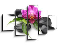 Obraz 5D ptidln - 125 x 70 cm F_GS40893585 - orchid