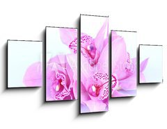 Obraz 5D ptidln - 125 x 70 cm F_GS41582656 - beautiful pink orchid against blue background