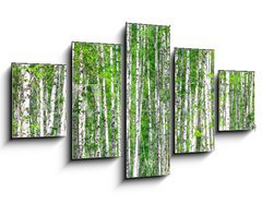 Obraz   Birch forest. May, 125 x 70 cm