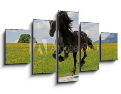 Obraz 5D ptidln - 125 x 70 cm F_GS41915305 - Friese - Friesian