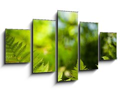 Obraz 5D ptidln - 125 x 70 cm F_GS419413555 - Green fresh fern leafs in a forest with trees in the background and a blue sky