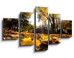 Obraz 5D ptidln - 125 x 70 cm F_GS42033806 - Fall autumn park. Falling leaves in a sunny day - Pd podzimn park. Padajc listy za slunenho dne