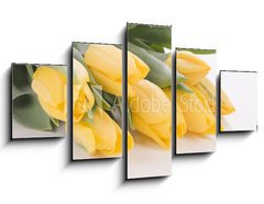 Obraz 5D ptidln - 125 x 70 cm F_GS42120397 - Spring tulips isolated on white