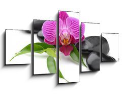 Obraz   orchid, 125 x 70 cm