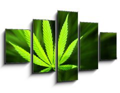 Obraz 5D ptidln - 125 x 70 cm F_GS42226543 - Marijuana background - Marihuana pozad