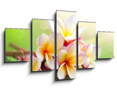 Obraz 5D ptidln - 125 x 70 cm F_GS42559107 - Frangipani Tropical Spa Flower. Plumeria. Shallow DOF