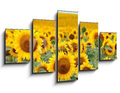 Obraz 5D ptidln - 125 x 70 cm F_GS43246841 - Beautiful sunflower field