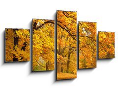 Obraz   Autumn / Gold Trees in a park, 125 x 70 cm