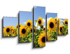 Obraz 5D ptidln - 125 x 70 cm F_GS43441977 - Sonnenblumen