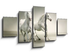 Obraz 5D ptidln - 125 x 70 cm F_GS43823423 - White horses