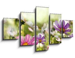 Obraz 5D ptidln - 125 x 70 cm F_GS43864342 - kwiaty