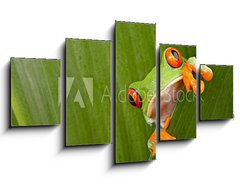 Obraz 5D ptidln - 125 x 70 cm F_GS43998822 - red eyed tree frog peeping