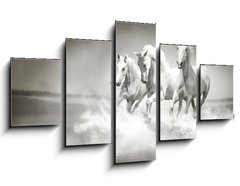 Obraz 5D ptidln - 125 x 70 cm F_GS44040199 - Herd of white horses running through water