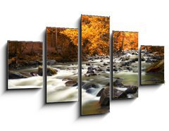 Obraz 5D ptidln - 125 x 70 cm F_GS44082572 - Autumn landscape with trees and river - Podzimn krajina se stromy a ekou