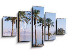Obraz   Dead Sea, 125 x 70 cm