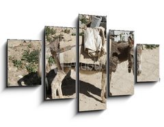 Obraz 5D ptidln - 125 x 70 cm F_GS44262409 - Esel von trauriger Gestalt