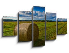 Obraz 5D ptidln - 125 x 70 cm F_GS44784749 - Bale of Straw