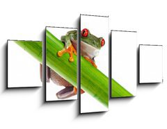 Obraz 5D ptidln - 125 x 70 cm F_GS45097873 - Green Frog with red eye. - Zelen ba s ervenm okem.
