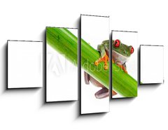 Obraz 5D ptidln - 125 x 70 cm F_GS45099482 - Green Frog with red eye. - Zelen ba s ervenm okem.
