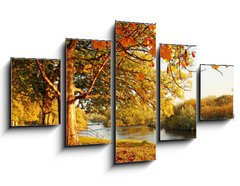 Obraz 5D ptidln - 125 x 70 cm F_GS45108931 - Beautiful Autumn in the park