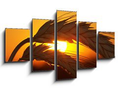 Obraz ptidln 5D - 125 x 70 cm F_GS4517963 - Wheat - Penice